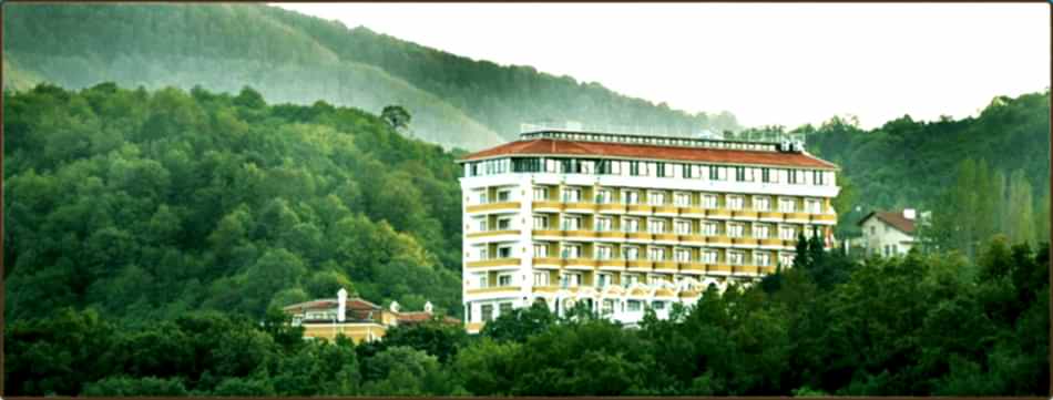 Thermalium Wellness Park Otel